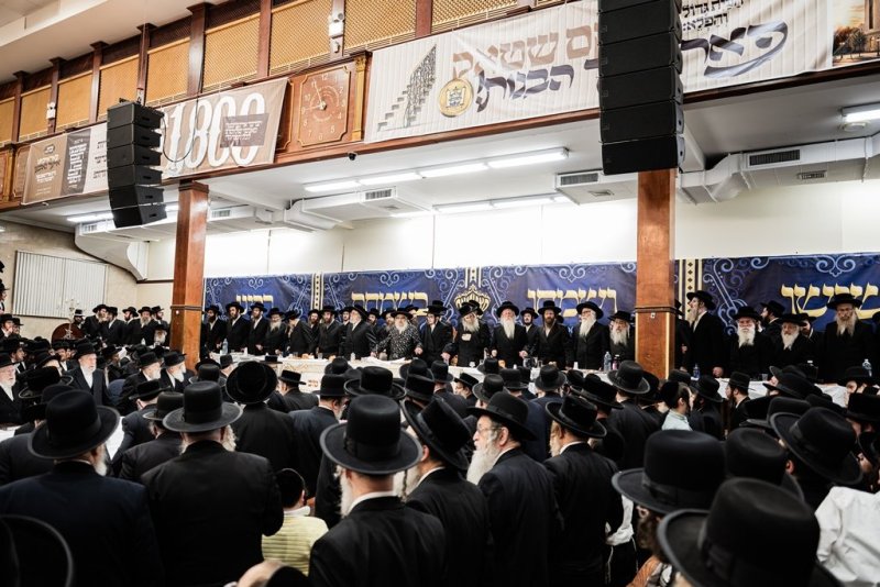 י. שטיין, שלום קליין ושלום שוורץ