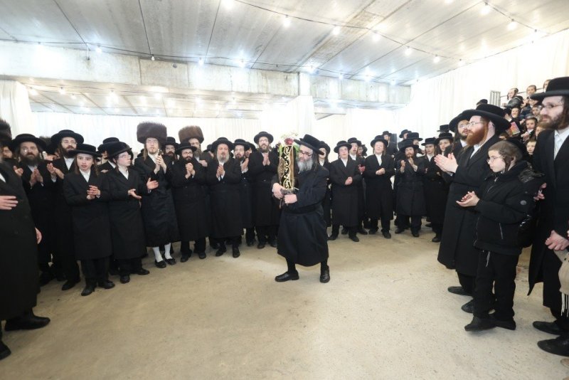 שלומי טריכטר