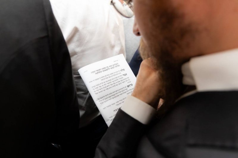 דוברות הקהילה