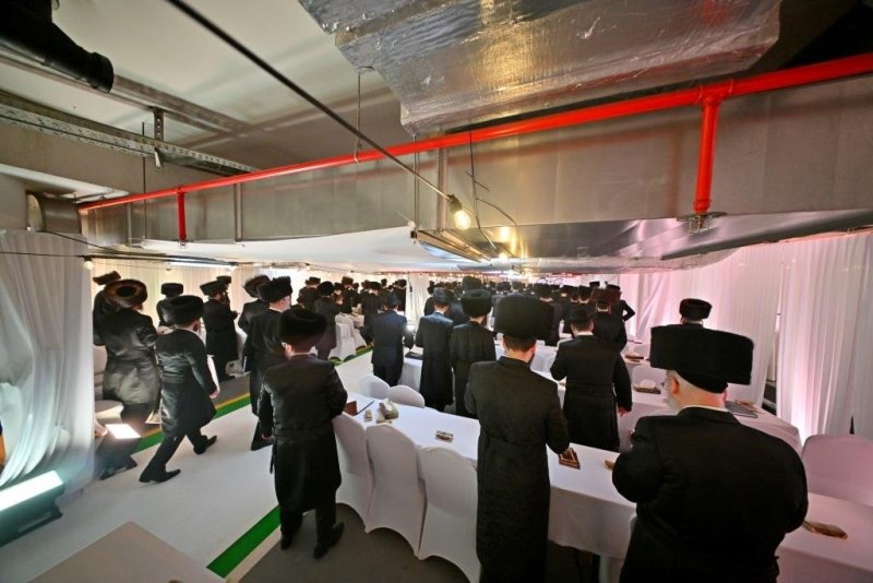 יהושע פרוכטר