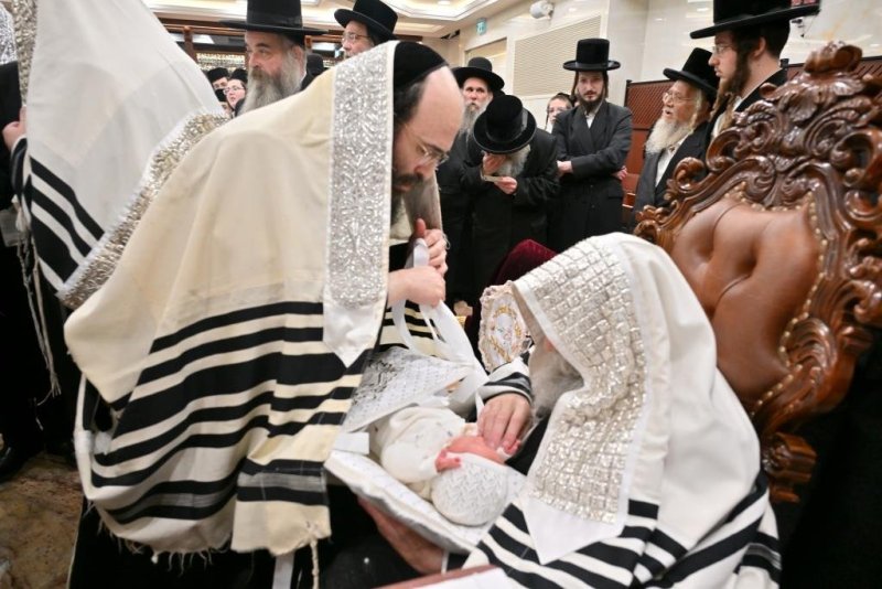 יהושע פרוכטר