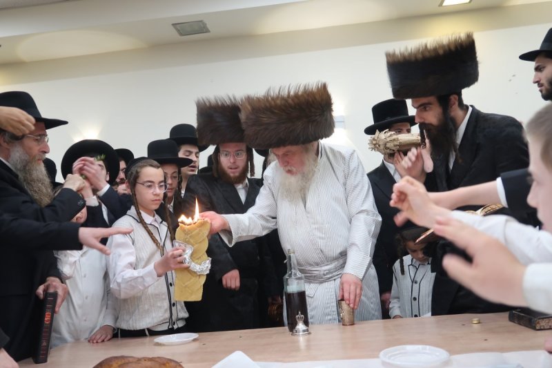 שימי פ.