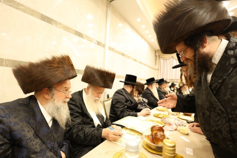 נתי אמרגי