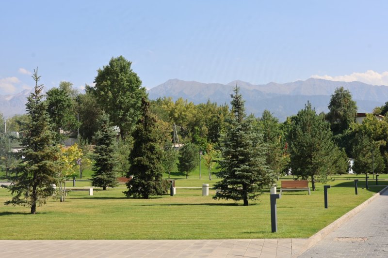 מרדכי לובעצקי