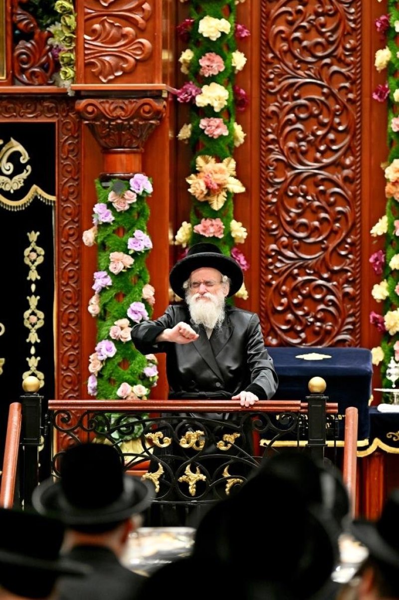 יהושע פרוכטר
