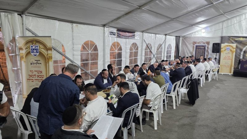 אלחנן קוטלר