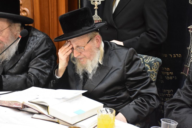 יהודה פרקוביץ