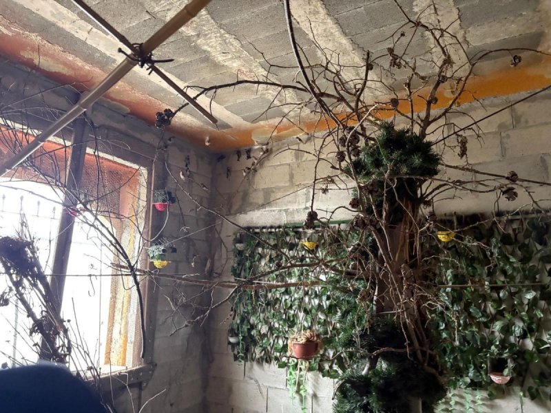 דוברות המשטרה