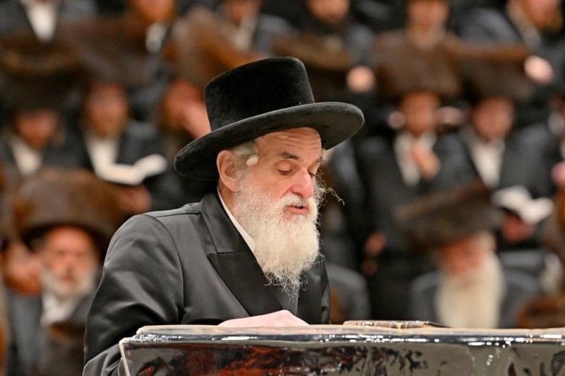 יהושע פרוכטר