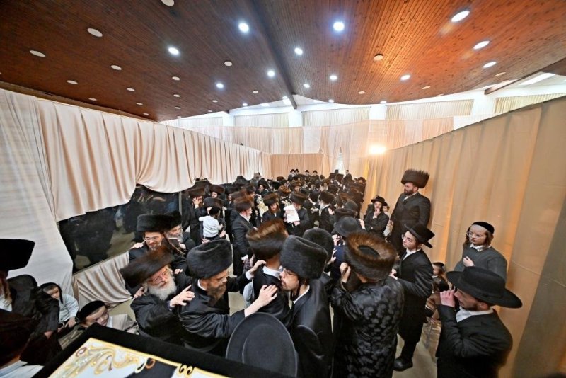 יהושע פרוכטר