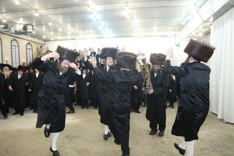 שלומי טריכטר