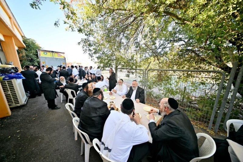 יהושע פרוכטר