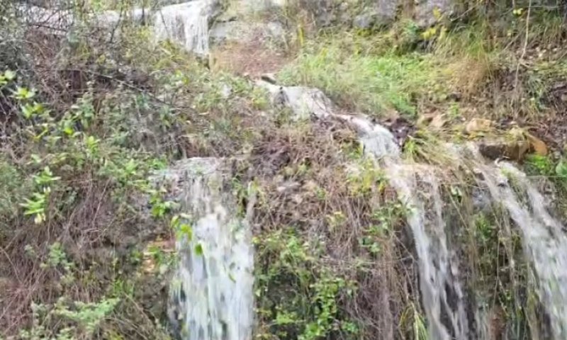 "שישי בשטח" עם יצחק כרמלי: המפל המרהיב בהרי ירושלים