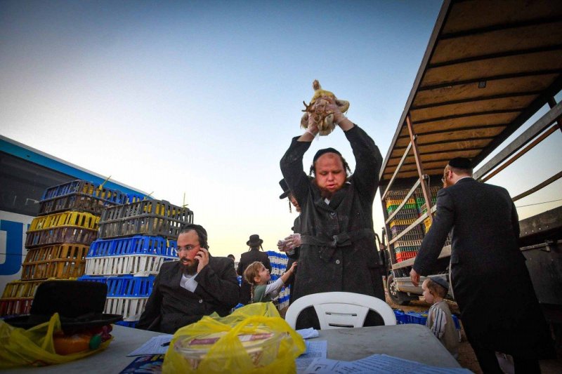 ארי קופרשטוק