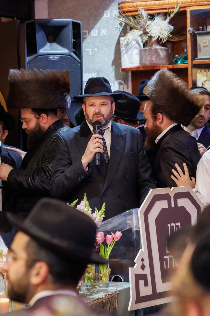 דניאל נפוסי ומאיר זלזניק