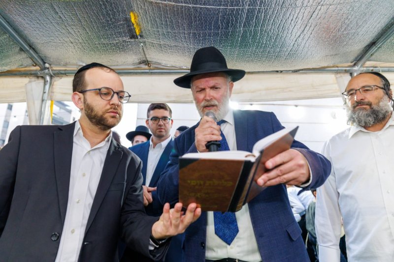 מאיר זלזניק