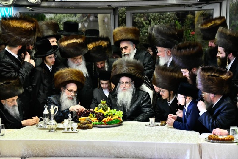 שוקי לרר