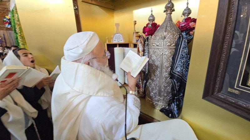 שלומי טריכטר ומ.פ