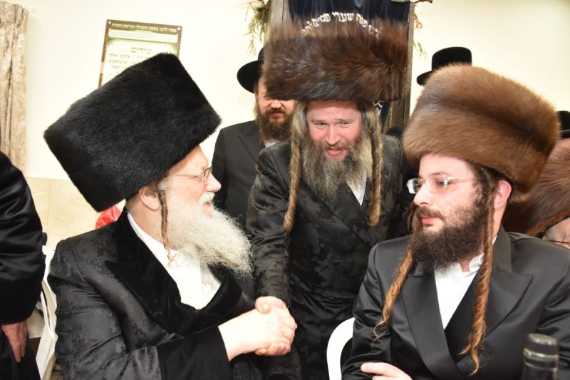 יהודה פרקוביץ