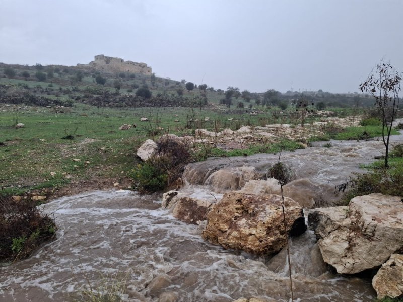 דניאל דה צ'זרה רשות הטבע והגנים