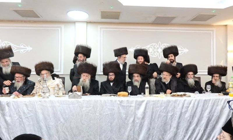 שימי פ.