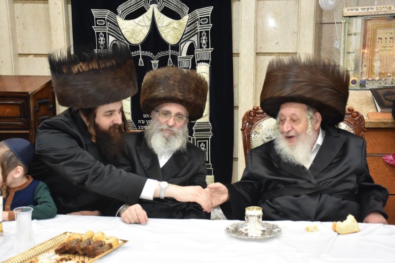 יהודה פרקוביץ