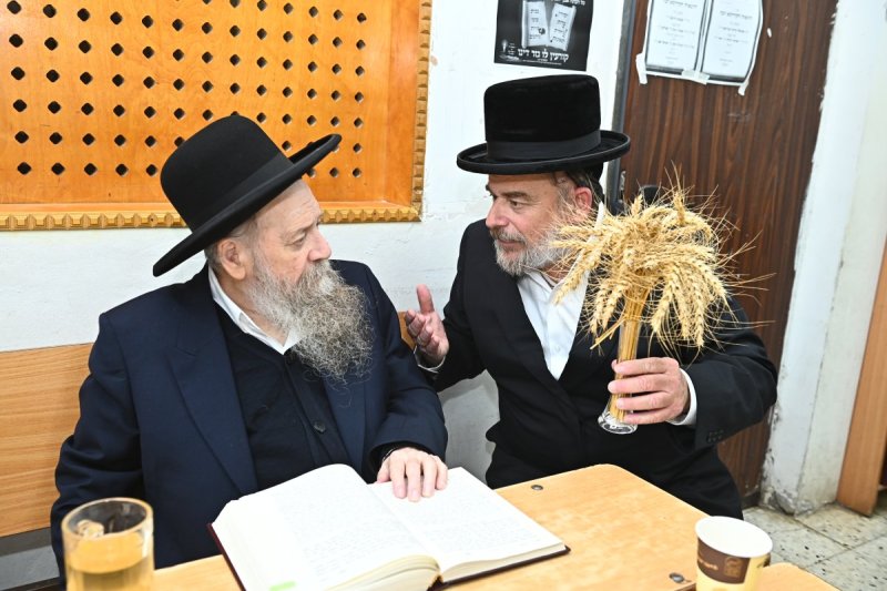 שוקי לרר