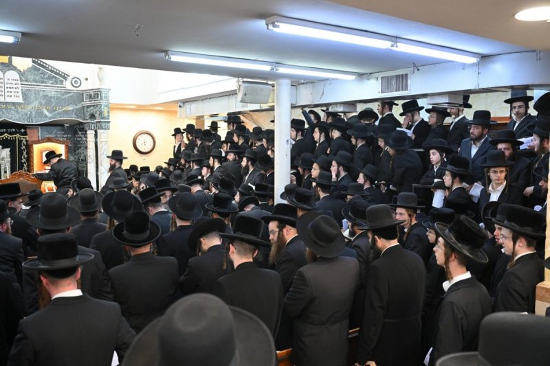 באדיבות המצלם