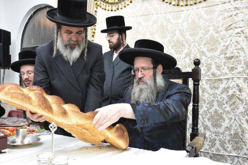 יהודה פרקוביץ