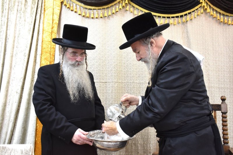 יהודה פרקוביץ