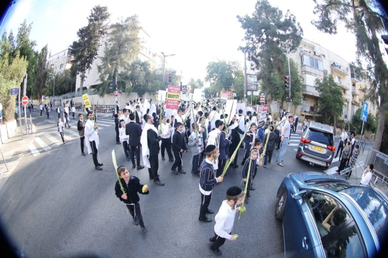 שלומי טריכטר ומ.פ