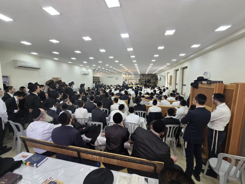 באדיבות המצלם