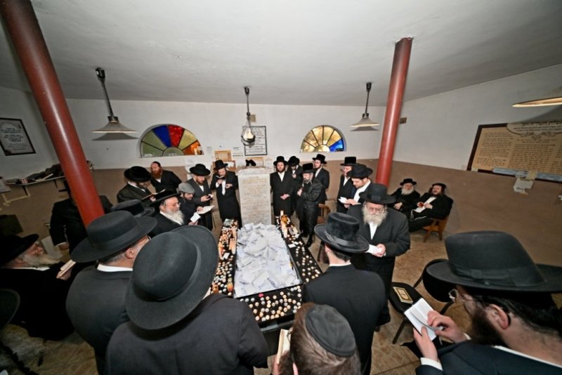 יהושע פרוכטר