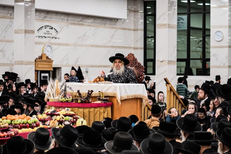 בחצרות סאטמר