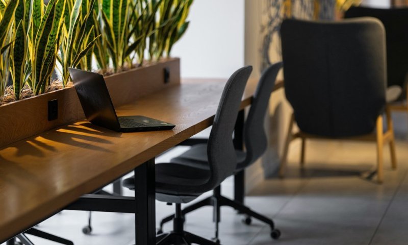 הנתונים נחשפים: כך ה-AI משנה את שוק העבודה בישראל