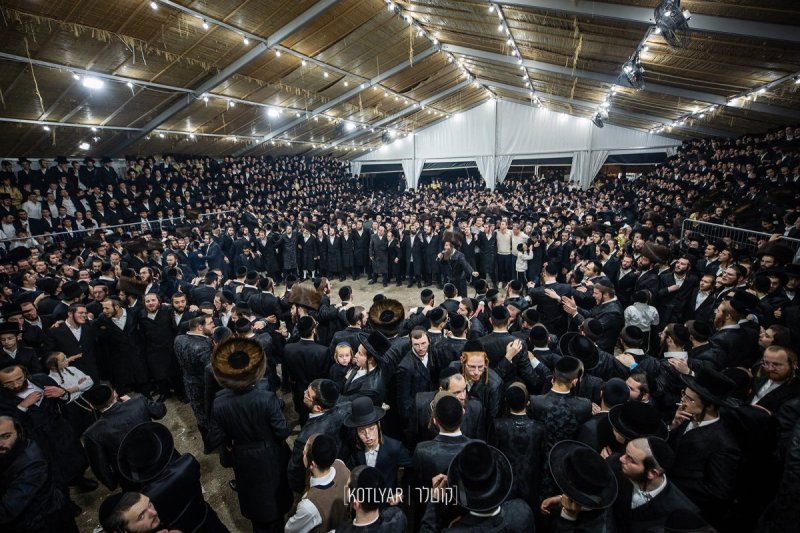 מענדי קוטלר