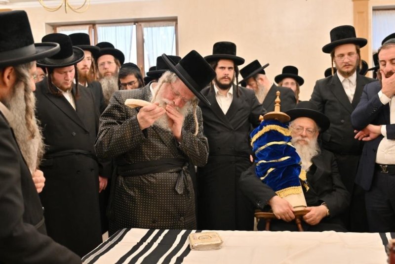 יהושע פרוכטר