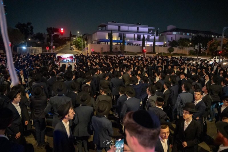 מאיר זלזניק