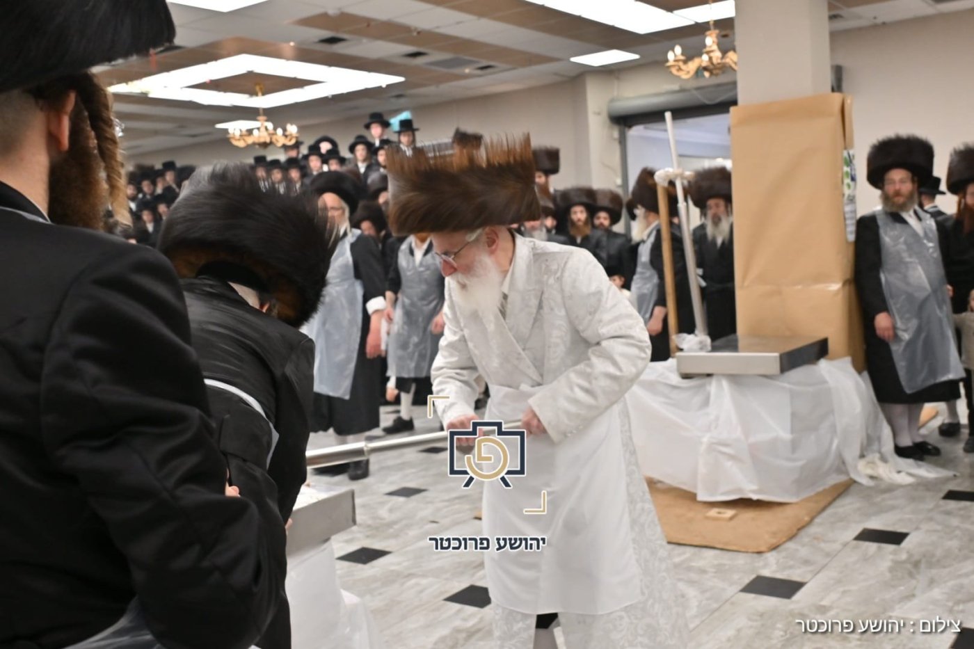 יהושע פרוכטר