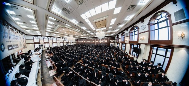 י. שטיין