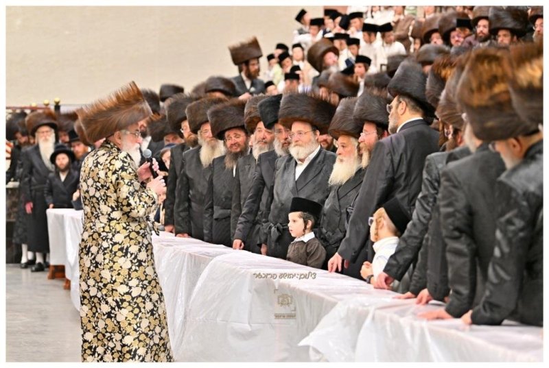 יהושע פרוכטר