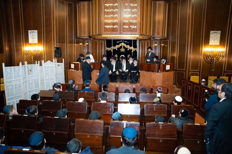 דניאל נפוסי ומאיר זלזניק