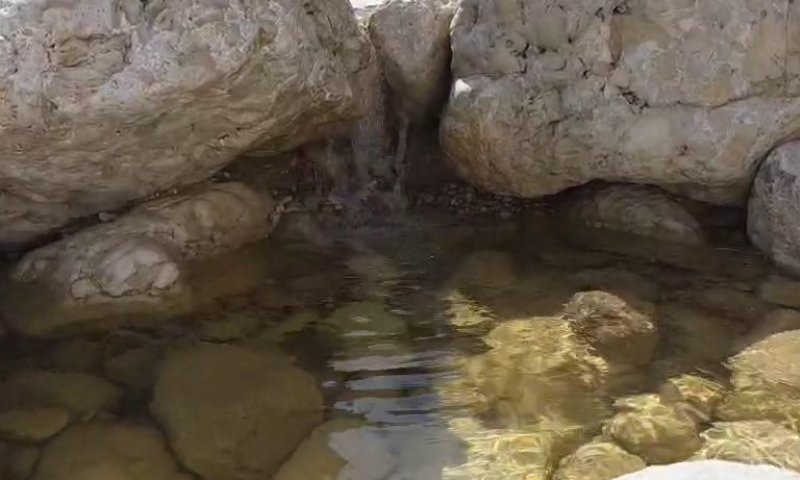 נדיר ביותר: נחל צאלים זורם - תופעה שלא נראתה בעונה זו כ־40 שנה לפחות