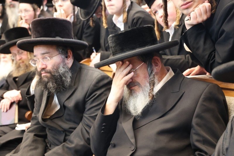 שלומי טריכטר