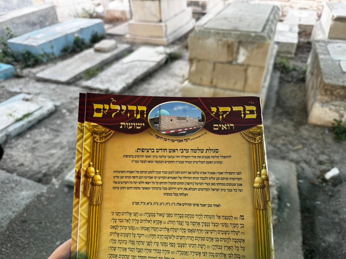 באדיבות המצלם 