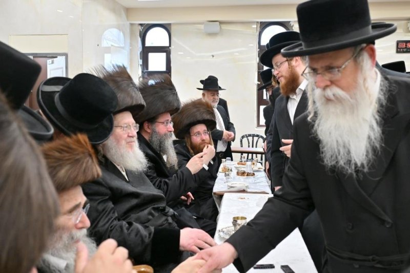 יהושע פרוכטר