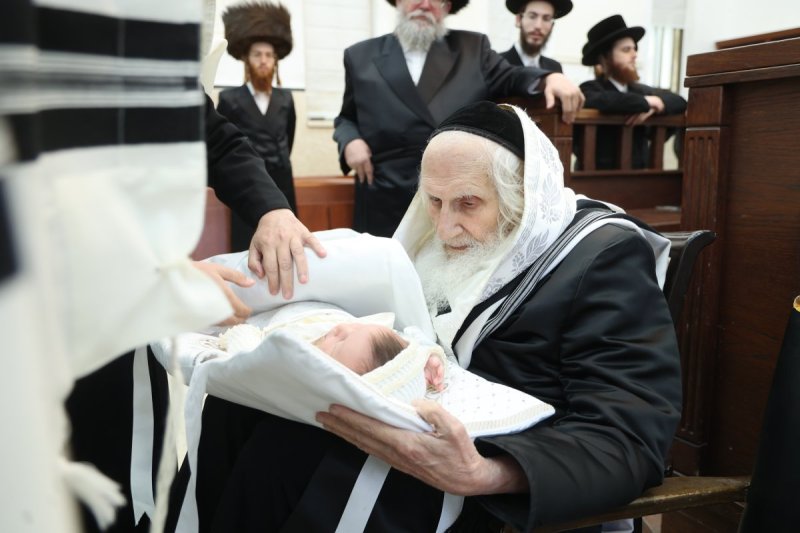 שלומי טריכטר