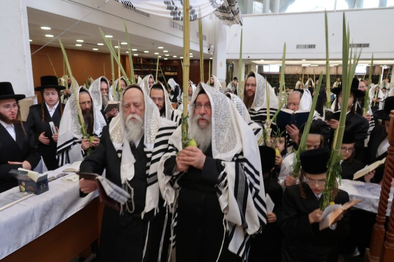 שוקי לרר, אברומי ברגר ומ.ש