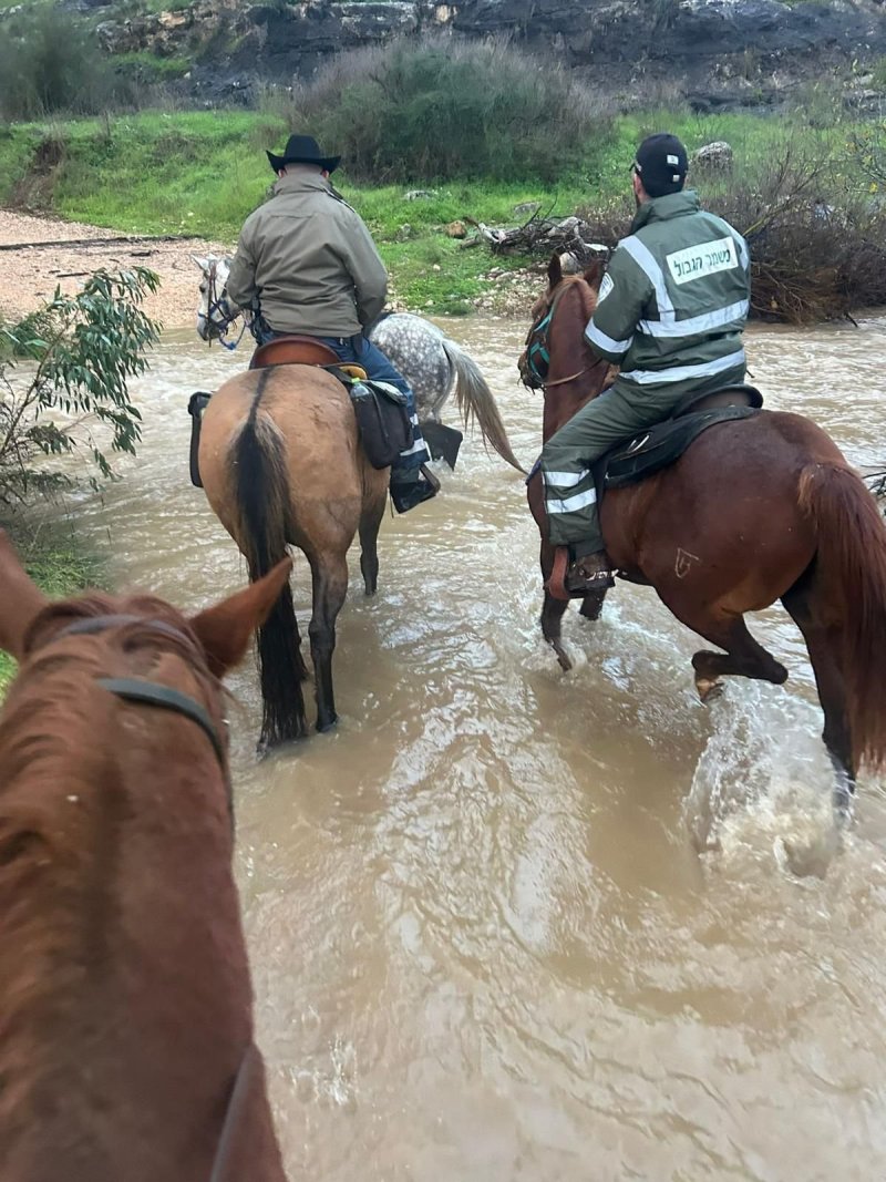 דוברות המשטרה