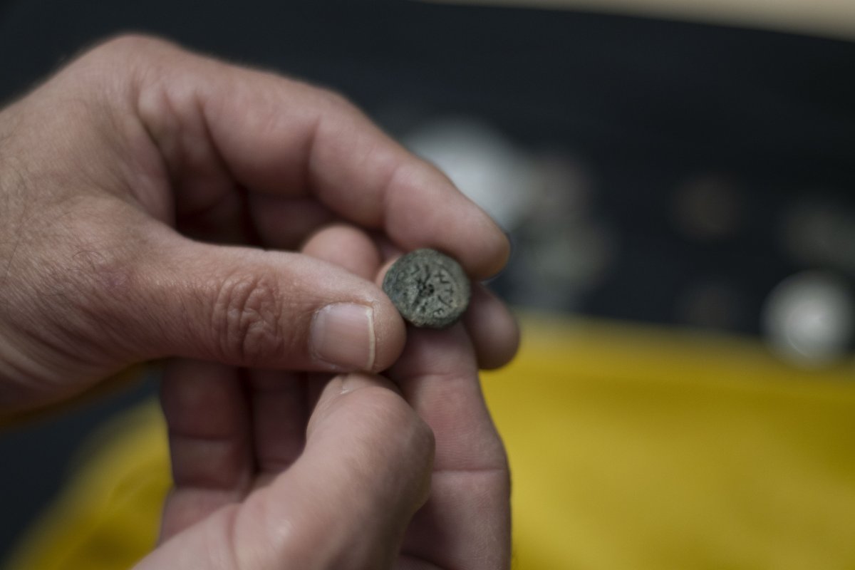 יולי שוורץ רשות העתיקות